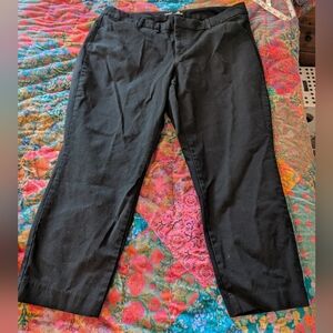 pixie straight leg dress slacks size 20